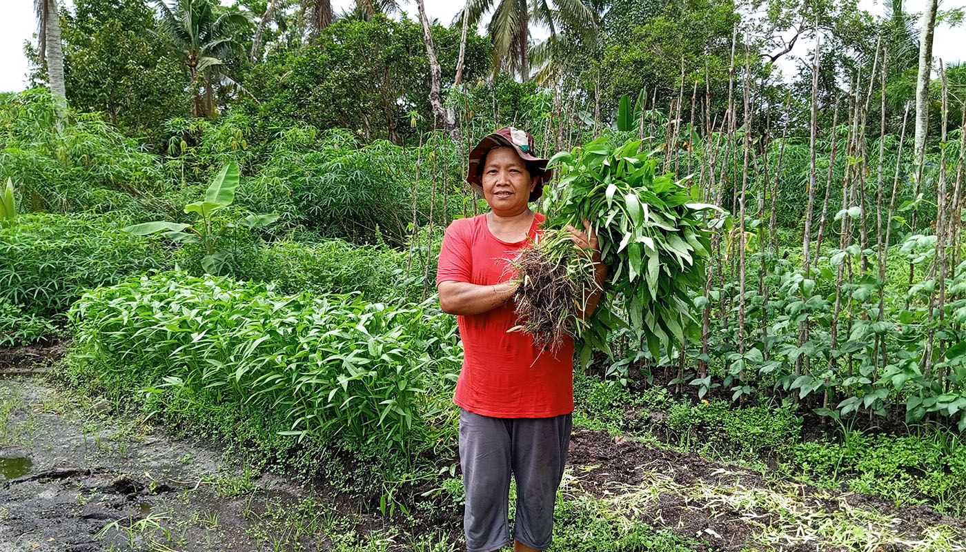 Since 2018, YUM has been developing a sustainable agroforestry model in Central Kalimantan. By 2024, with support from SDIA, Susila Dharma Germany, and BMZ, the project expanded into a full pilot with ten smallholder farmers.