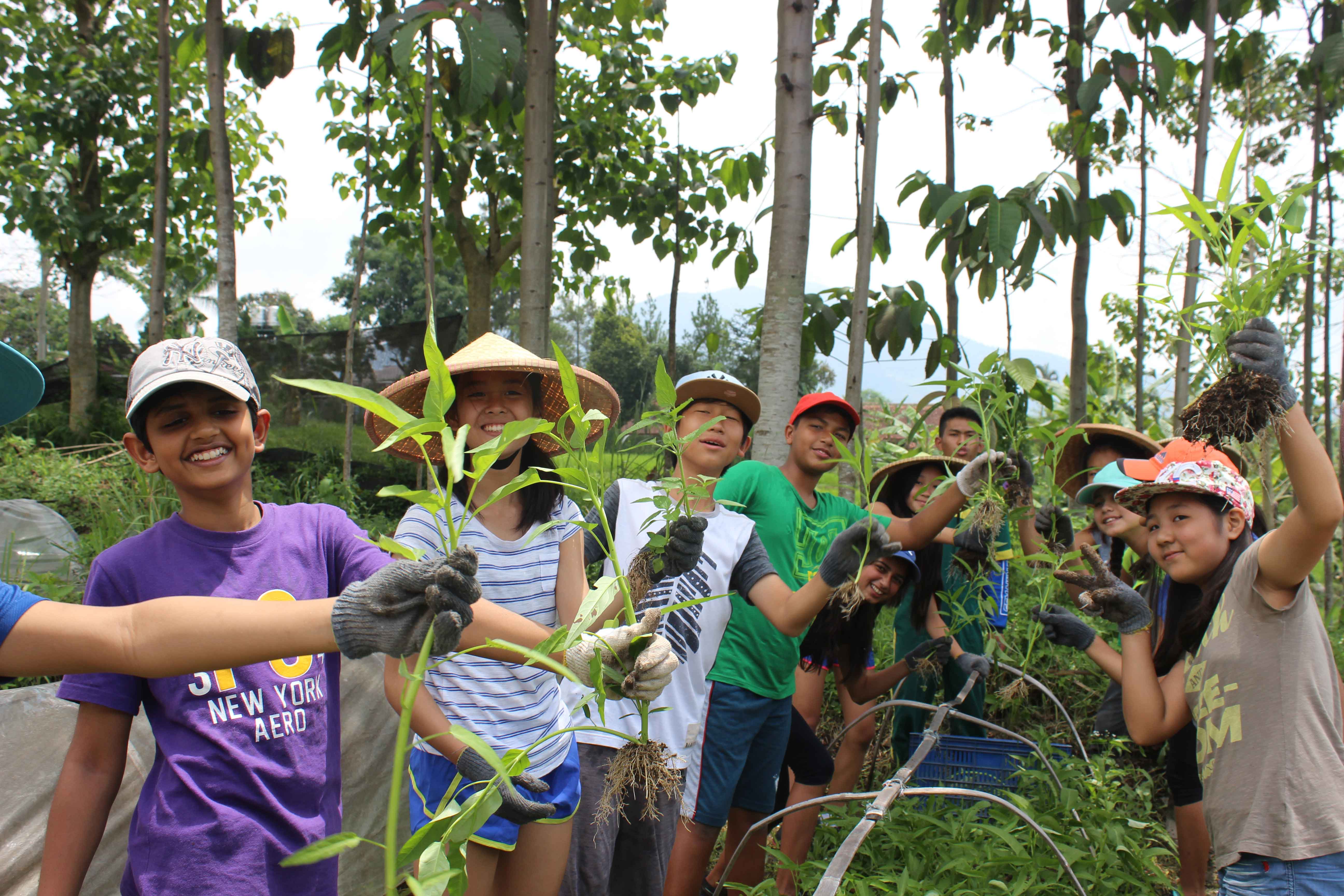 YUM Organic Farming Workshop