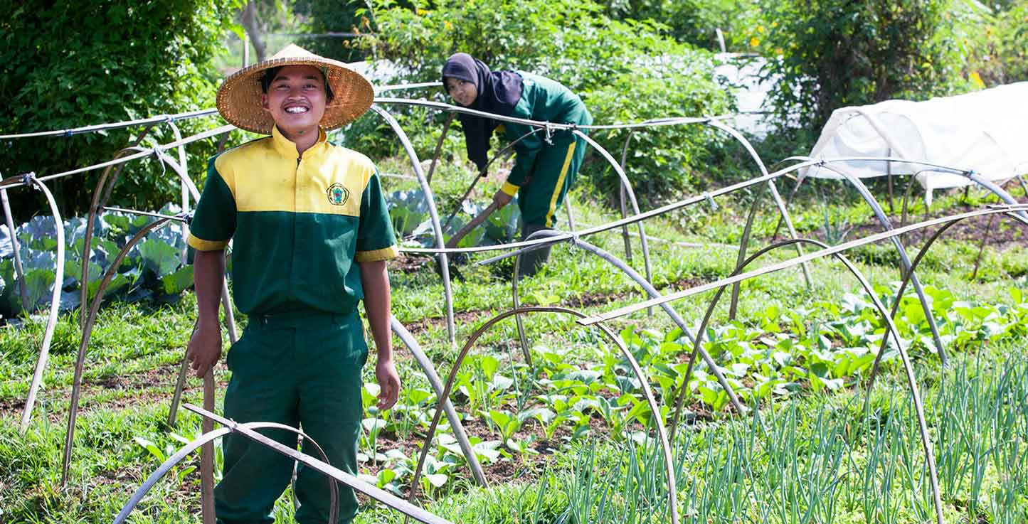 Organic Farming West Java