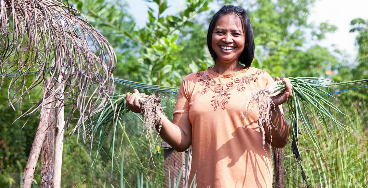 Sustainable Agriculture Central Kalimantan